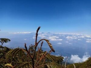 Pendakian Gunung Selamet 3.432mdpl 3 Pendakian Gunung Selamet 3.432mdpl