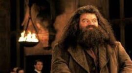 Pemeran Hagrid Di Film Harry Potter Tutup Usia