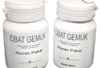 Obat penggemuk badan