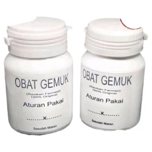 Obat penggemuk badan