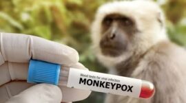 Pemprove DKI genjot vaksin monkey pox