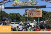 Jadwal Buka Tutup Kebun Binatang Ragunan di Tanggal Merah Idul Adha