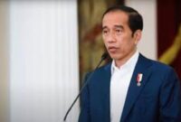 Jokowi bantah IKN proyek miliknya (Instagram/@jokowi)