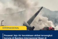 Pesawat Jeju Air kecelakaan akibat tersangkut burung di Bandara Internasional Muan di Korsel