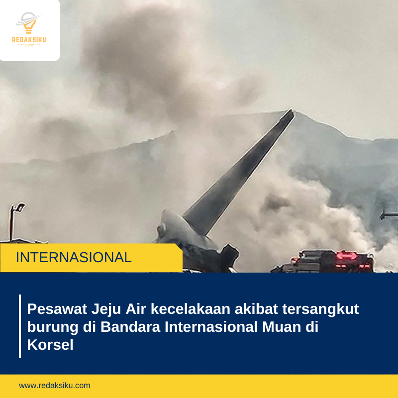 Pesawat Jeju Air kecelakaan akibat tersangkut burung di Bandara Internasional Muan di Korsel