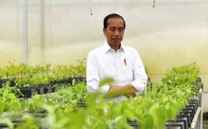 Ditanya Soal Anggaran IKN 2025 yang Diblokir, Jokowi: Itu Urusan Pemerintah, Saya Jangan Ditarik-tarik 1 Jokowi enggan berkomentar banyak saat ditanya soal anggaran IKN 2025 yang diblokir. (Foto: Instagram @jokowi)
