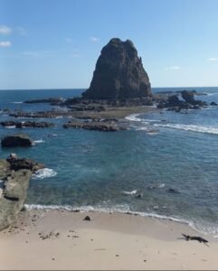Bingung Mau Liburan ke Mana? Yuk, Intip 6 Destinasi Wisata Alam Jember! 13 IMG 20250527 133839
