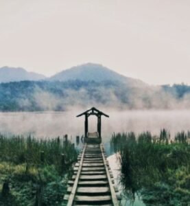 Bingung Mau Liburan ke Mana? Yuk, Intip 6 Destinasi Wisata Alam Jember! 15 IMG 20250527 134949